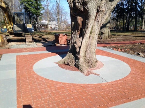 A large tree encircled by a brick and concrete paved area