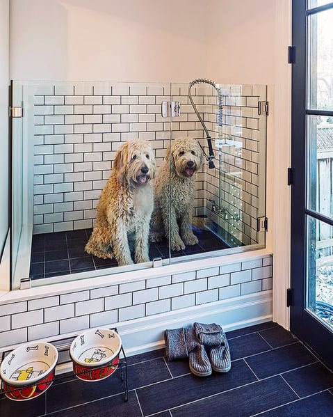Home Dog Wash Station Design Ideas
