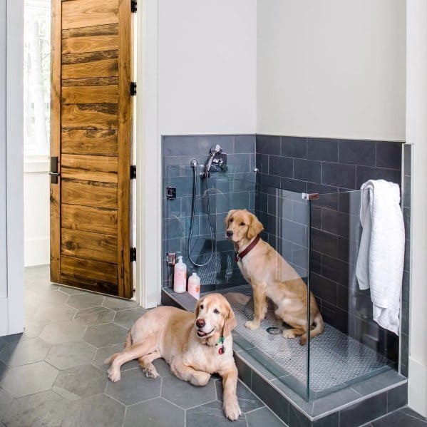 Home Dog Wash Station Interior Design