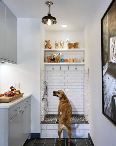 Home Dog Washing Station Designs White Tile