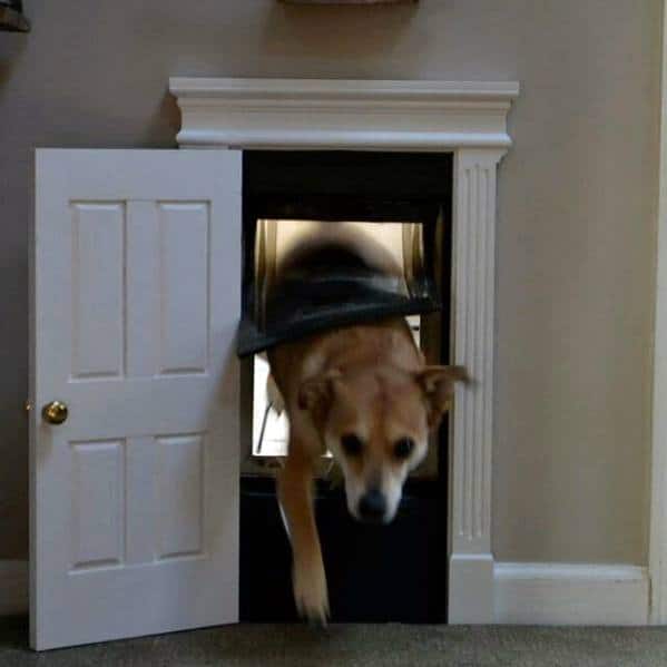 Home Doggy Door Design For Dogs With Mini Door And Trim Around Frame