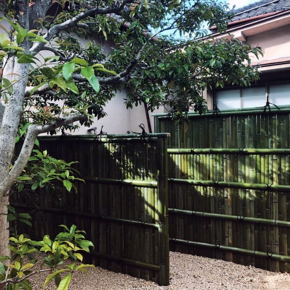 Green bamboo fence with vertical and horizontal framing in a lush, shaded garden corner.