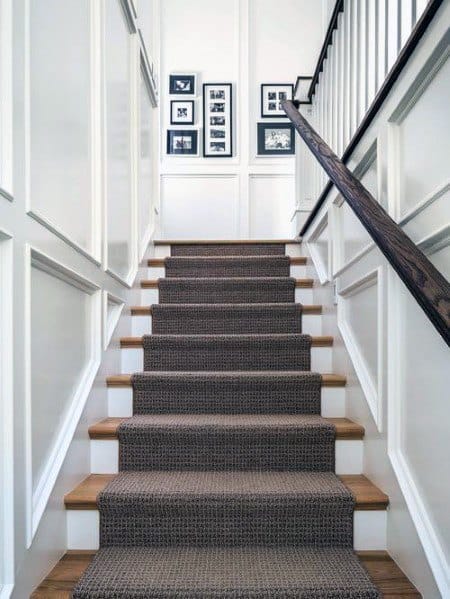 home stairs with carpet 