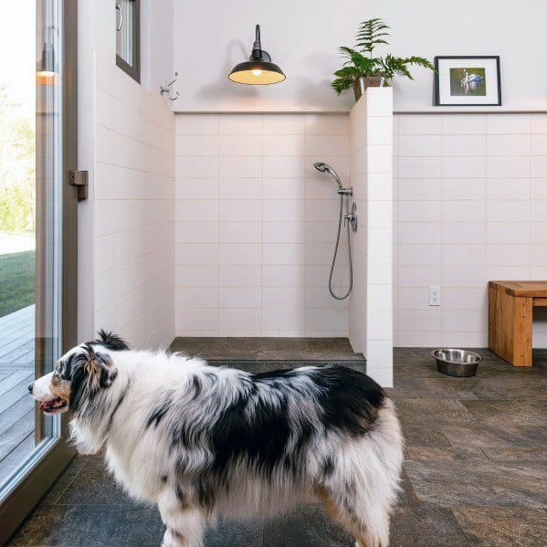 Home Pet Wash Ideas For Mudroom
