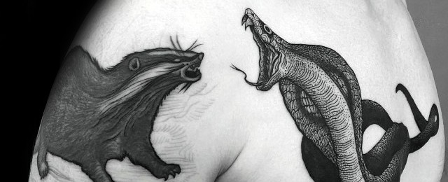 Honey Badger Tattoo Designs For Men