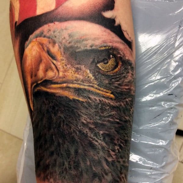 Hooked Yellow Beaked Bald Eagle Tattoo Mens Forearms