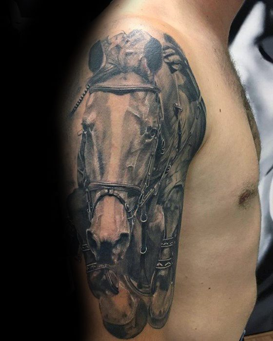 Hyper-realistic tattoo of a horse's face in full tack, placed on the upper arm with detailed shading and lifelike texture