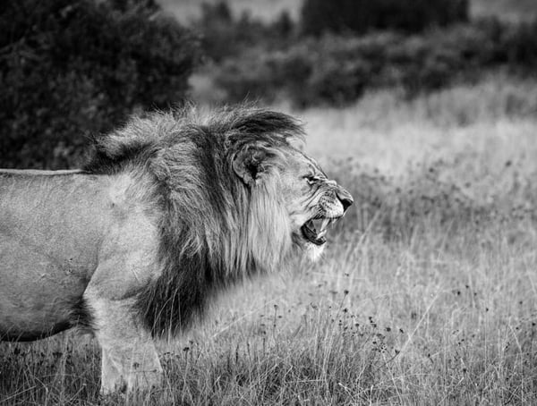 How To Ask A Girl Out Being Worthy