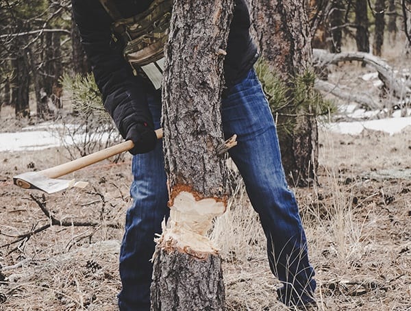 Hults Bruk American Felling Axe Review Pine Tree Chop