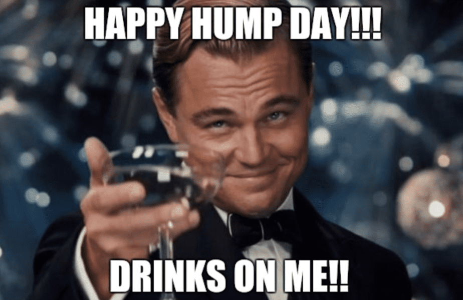 hump-day-memes-13