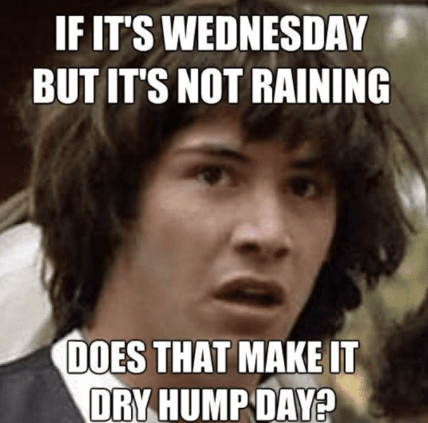 hump-day-memes-15