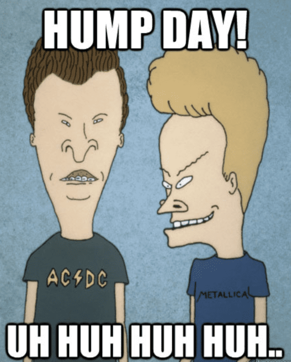 hump-day-memes-17