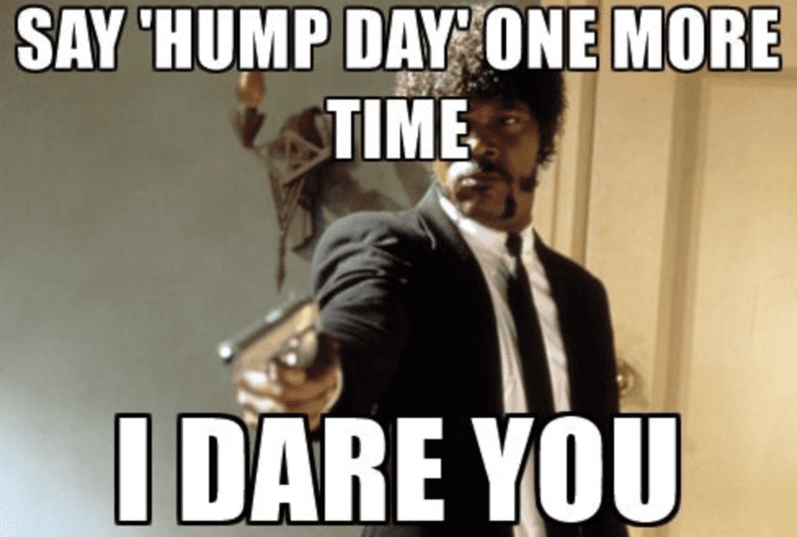 hump-day-memes-20