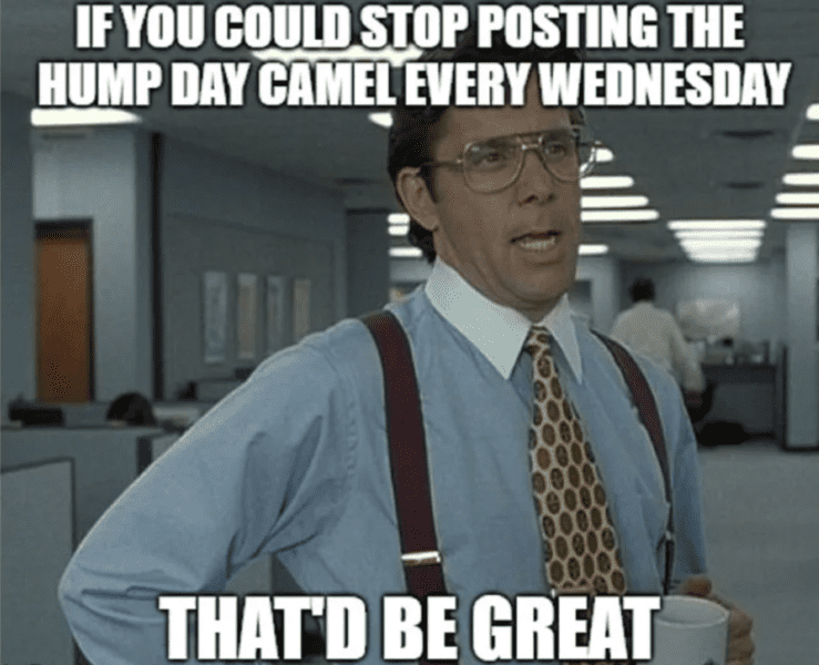 hump-day-memes-4