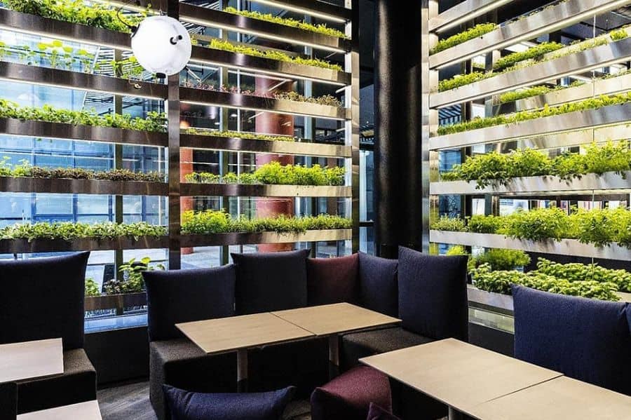 indoor hydroponics aquaponics vegetable garden