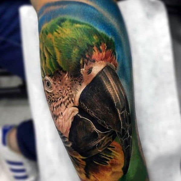 Hyper Realistic 3d Sleeve Mens Parrot Tattoo Design Ideas