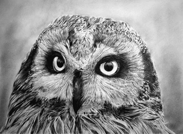 hyper-realistic-drawings-7