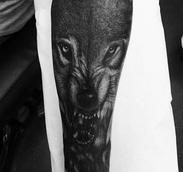 Hyper Realistic Forearm Sleeve Sick Wolf Male Tattoo Designs