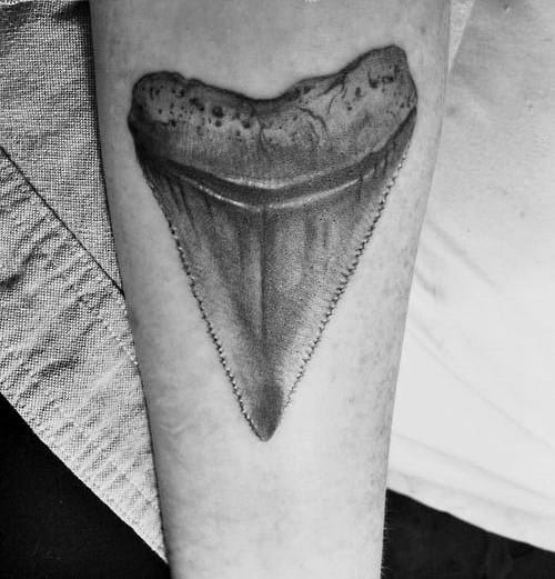 Hyper Realistic Male Shark Tooth Inner Forearm Tattoos
