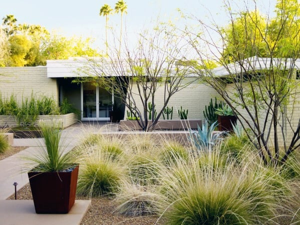 inspiring desert backyard 