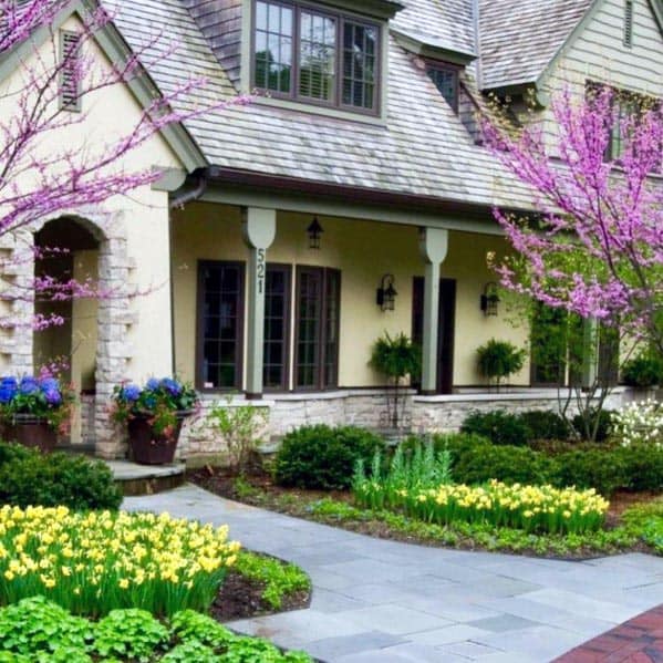 pink blossom tree in green landscape