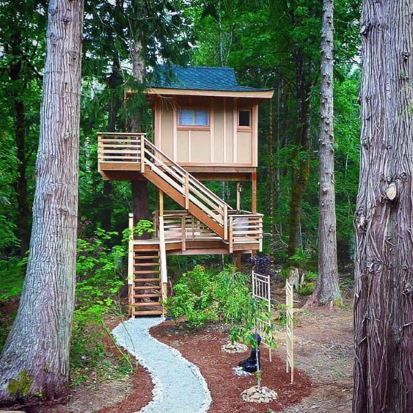 Treehouse with stairs in a lush forest, surrounded by tall trees and a stone path leading to the entrance