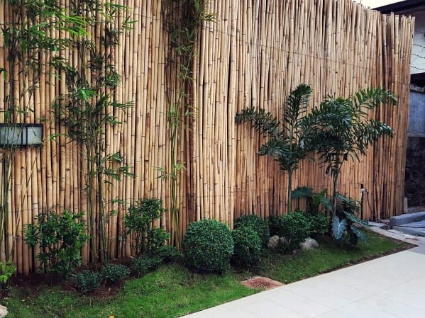 Tall bamboo fence with neatly landscaped bushes, palm plants, and a paved walkway.