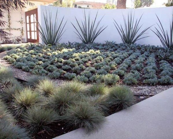 green succulent pattern garden 