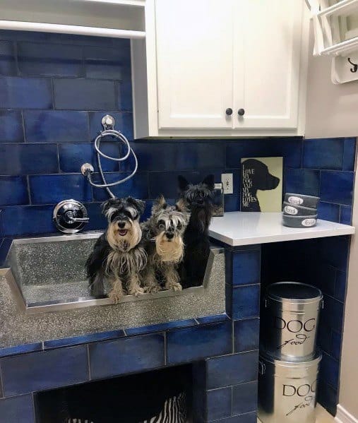 Ideas For Home Dog Wash Stations