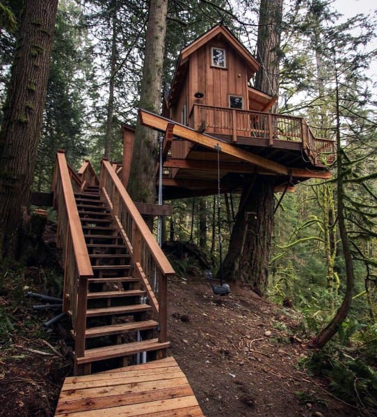Wooden treehouse among tall trees with stairs leading up, surrounded by a forested area