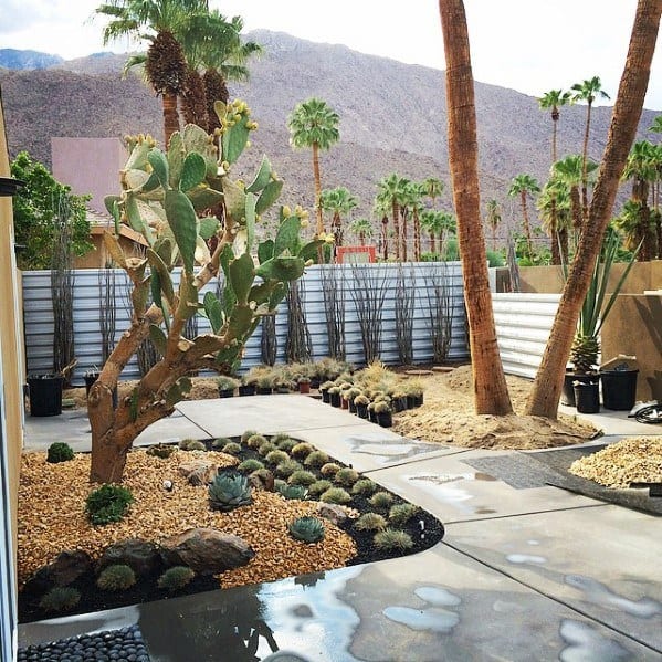 impressive desert landscaping backyard 