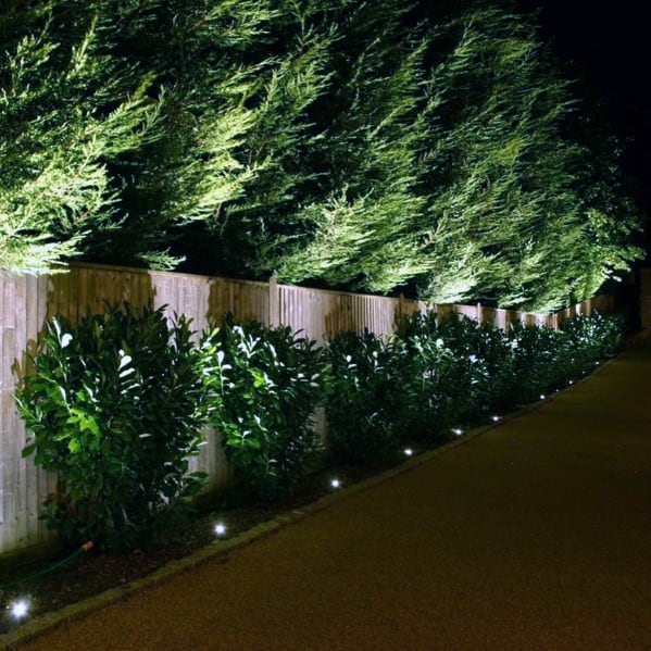 Driveway illuminated by low ground lighting, highlighting lush greenery and tall trees along the fence, creating a serene, well-lit path