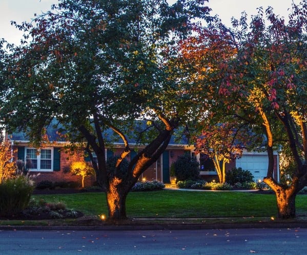landscape lighting ideas for front of house