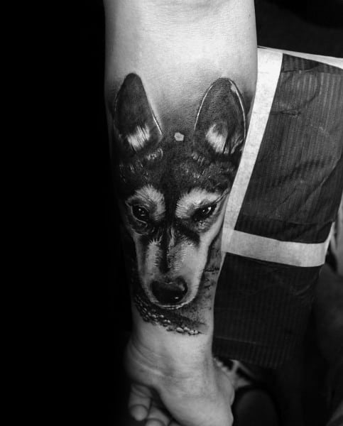 Black and gray Siberian Husky tattoo on a man's forearm, featuring detailed fur shading and intense eyes for a bold, realistic look.