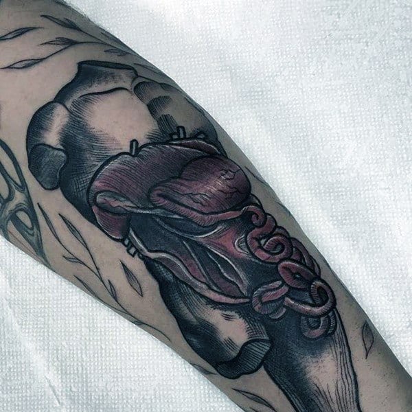 Anatomical tattoo of a pelvic bone with exposed internal organs in red and purple tones, blending realism with illustrative shading.
