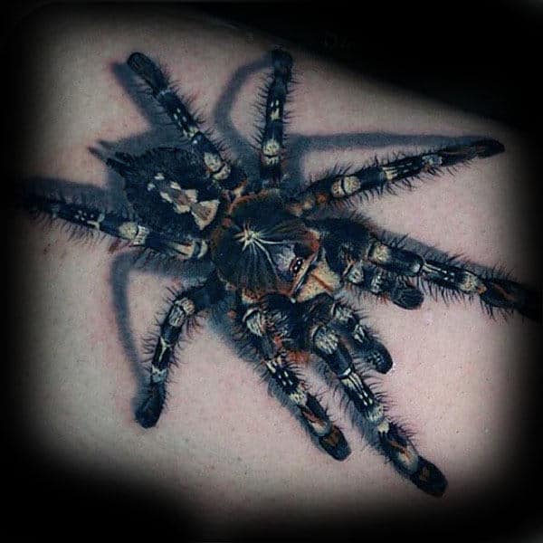 Incredible Detailed Tarantula Spider Tattoos For Males