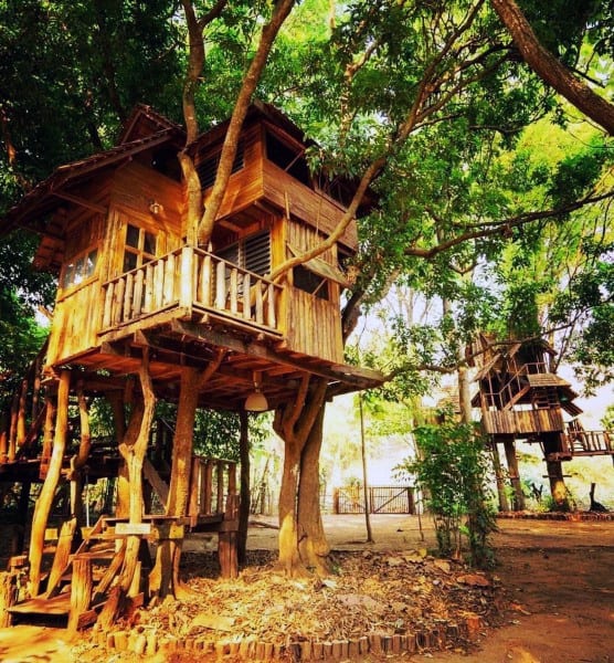 Cozy wooden treehouse nestled among green branches in a sunny forest setting
