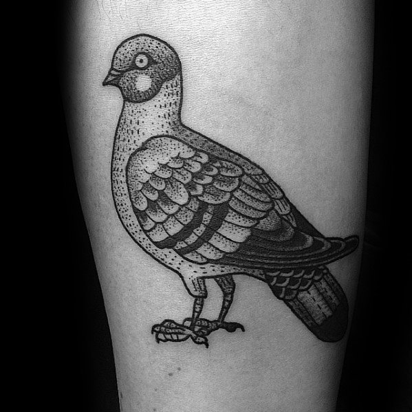 Dotwork pigeon tattoo in black ink with detailed feather shading, showcasing a clean and classic look with vintage vibes.