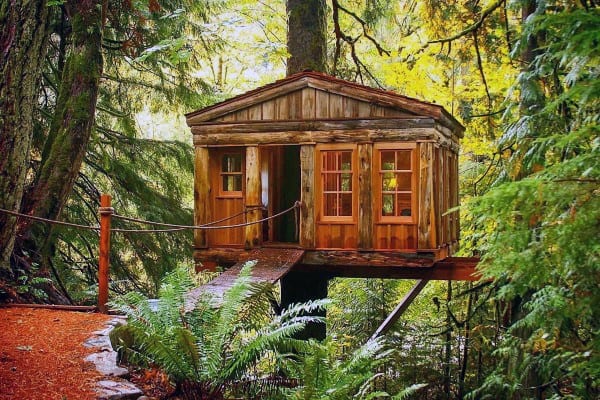 A rustic wooden treehouse surrounded by lush green forest and ferns in a serene natural setting