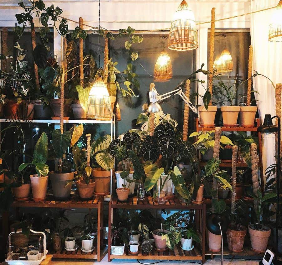 A cozy room filled with a variety of potted plants, illuminated by warm hanging lights, creating a lush indoor garden atmosphere