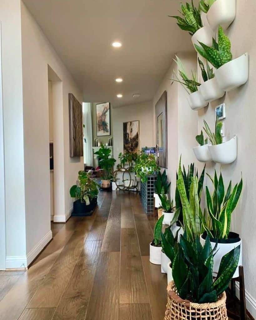 indoor vertical hallway garden