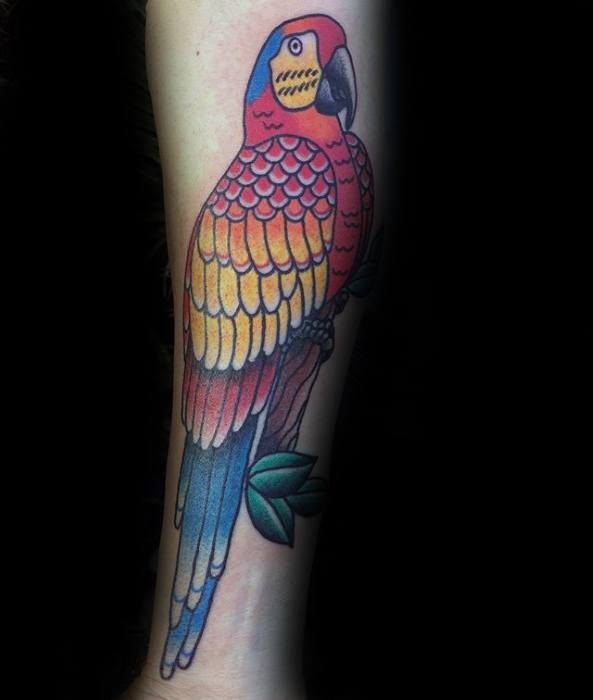 Inenr Forearm Male Cool Parrot Tattoo Ideas