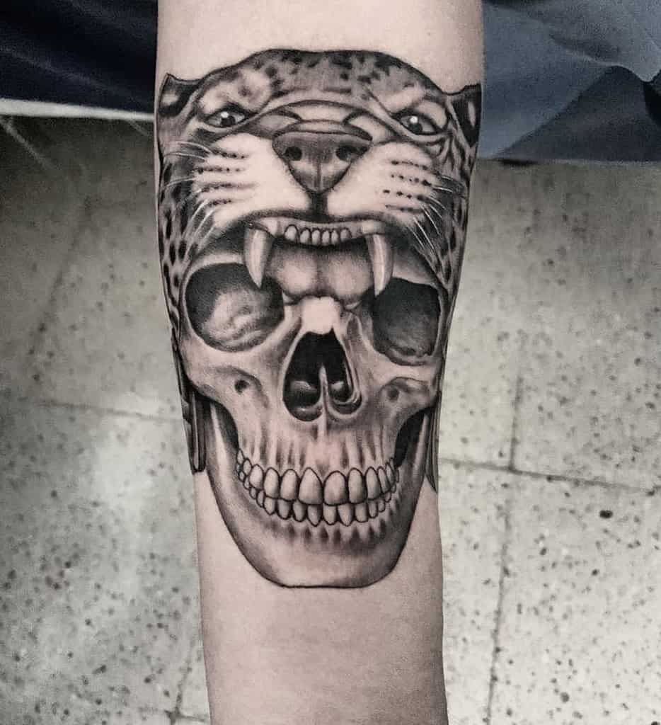 A dramatic black and grey tattoo of a jaguar’s face snarling above a skull, blending realistic details and powerful shading on the forearm.