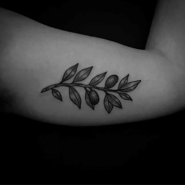 Inner Arm Bicep Branch Guys Olive Tree Tattoos