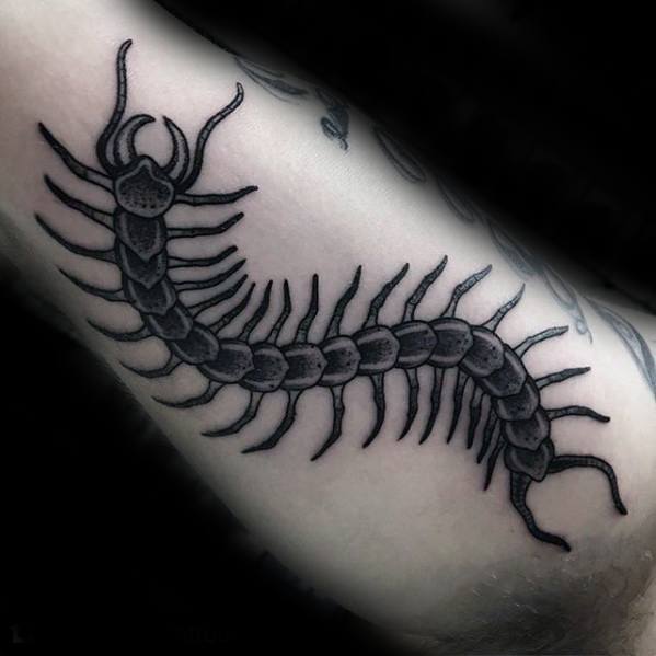 Inner Arm Bicep Centipede Tattoos For Gentlemen