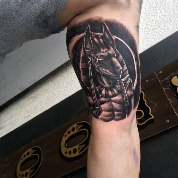 Inner Arm Bicep Guys Anubis Tattoo Ideas