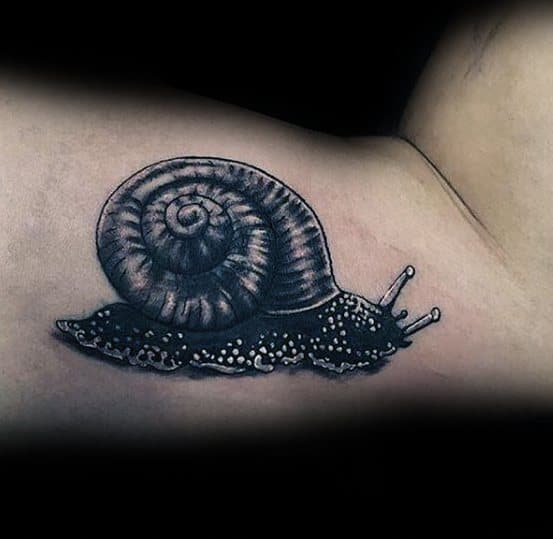 Inner Arm Bicep Guys Tattoos With Snail Design