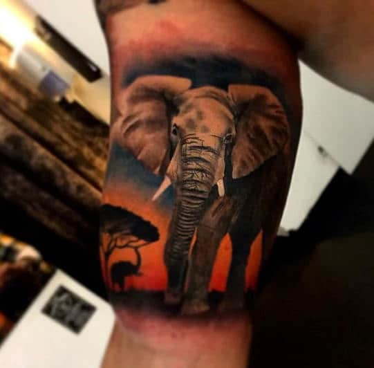 Inner Arm Bicep Quarter Sleeve Male Africa Elephant Tattoo