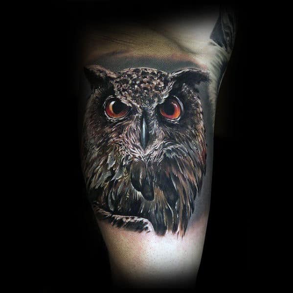 Inner Arm Bicep Realistic Male Owl Tattoo Ideas