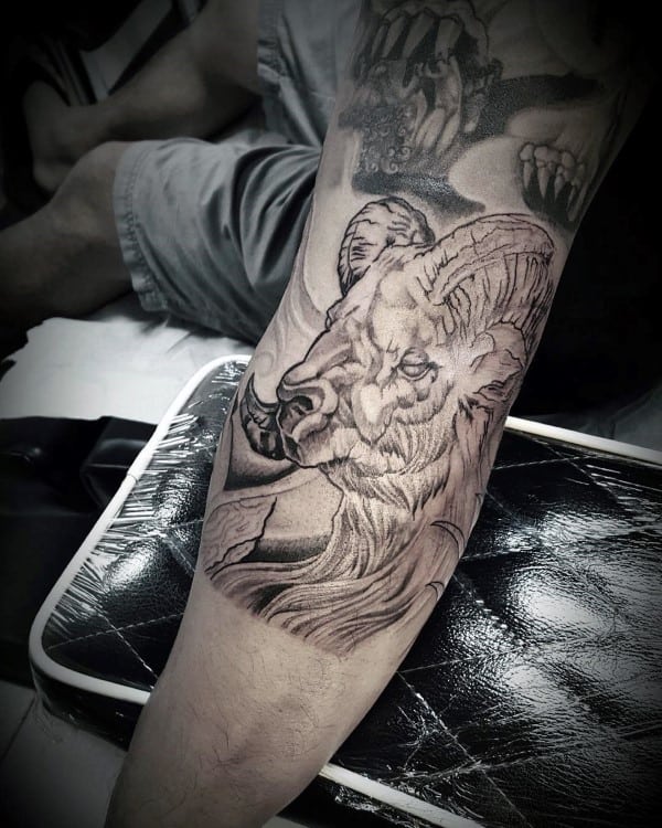 Inner Arm Ram Tattoo On Male